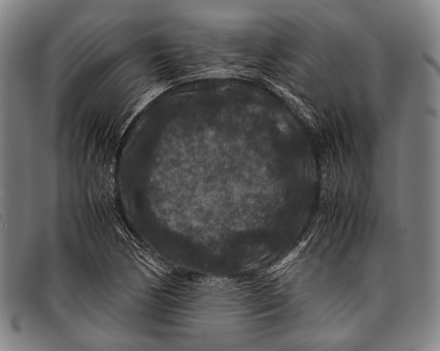 X0000097841170200804041436
