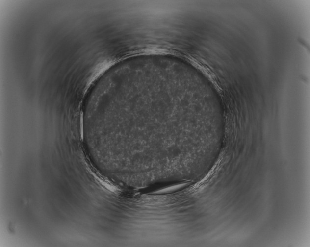 X0000097841171200804041436