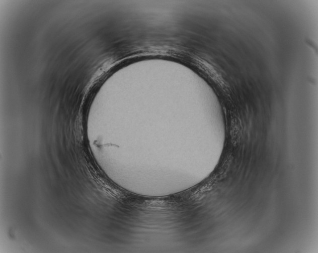 X0000097841172200804041436