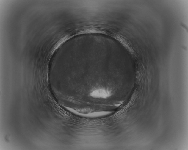 X0000097841173200804041436