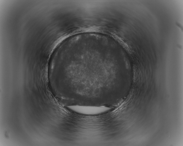 X0000097841174200804041436
