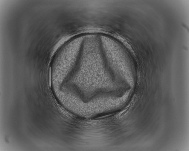 X0000097841175200804041436