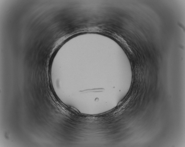 X0000097841176200804041436