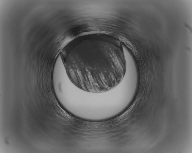 X0000097841177200804041436
