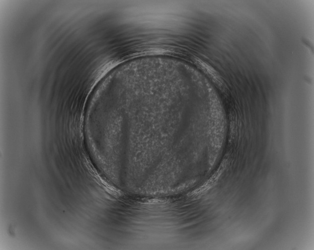 X0000097841178200804041436