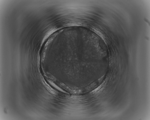 X0000097841179200804041436