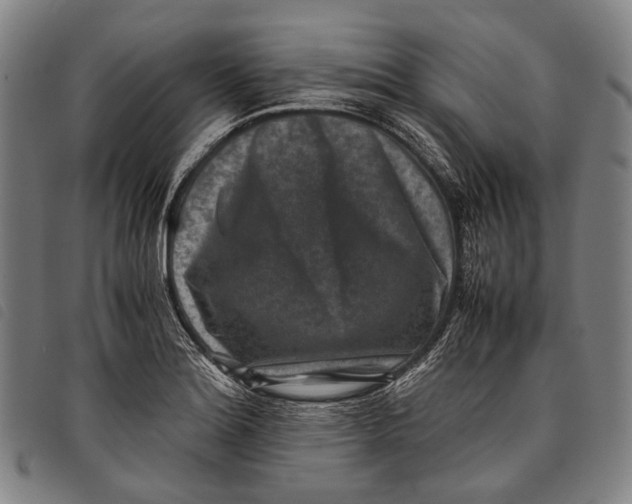 X0000097841180200804041436