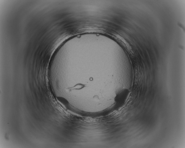 X0000097841182200804041436