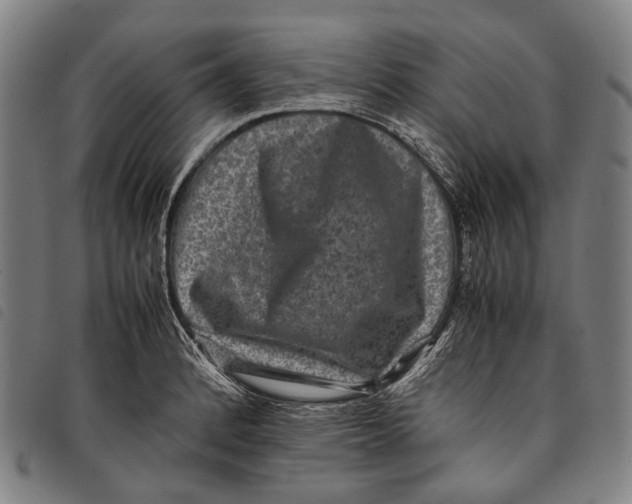 X0000097841184200804041436