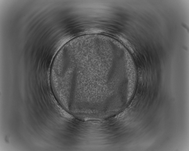 X0000097841186200804041436