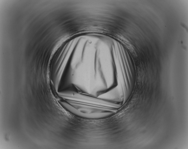 X0000097841188200804041436