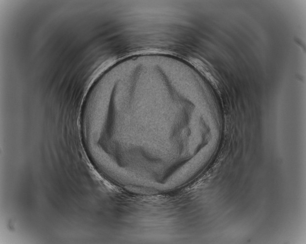 X0000097841189200804041436