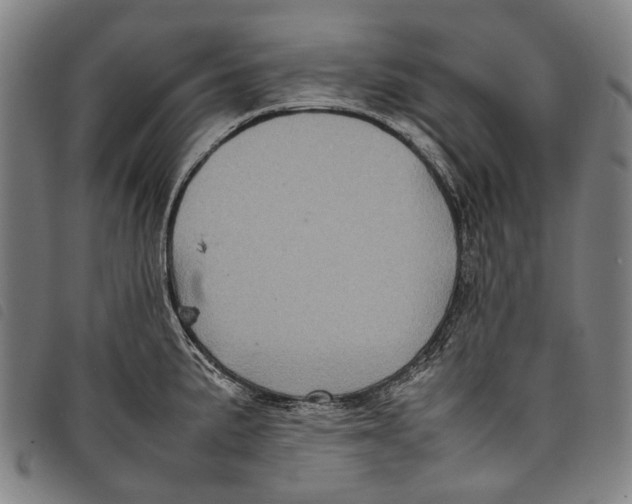 X0000097841191200804041436
