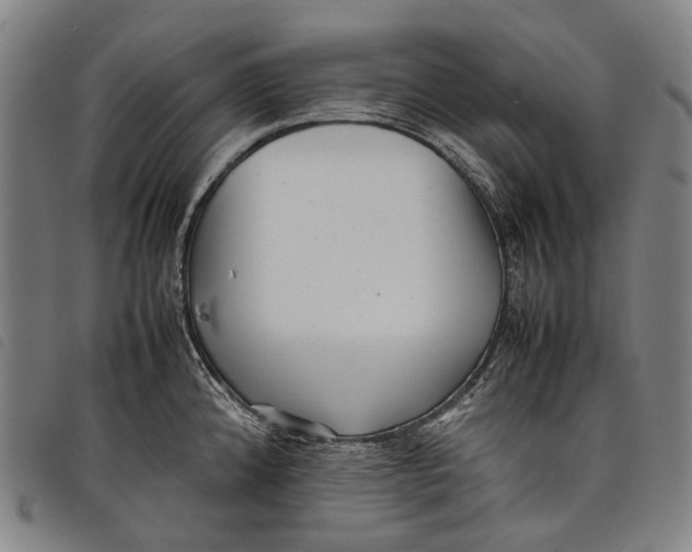 X0000097841192200804041436