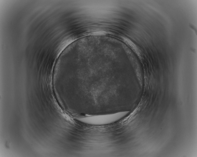 X0000097841194200804041436