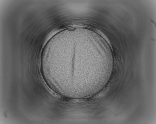 X0000097841195200804041436