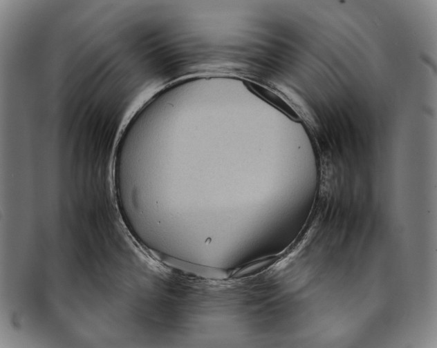 X0000097841196200804041436