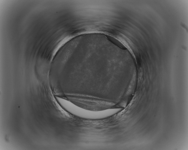 X0000097841197200804041436