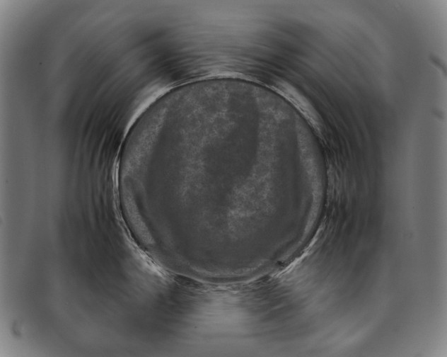 X0000097841198200804041436