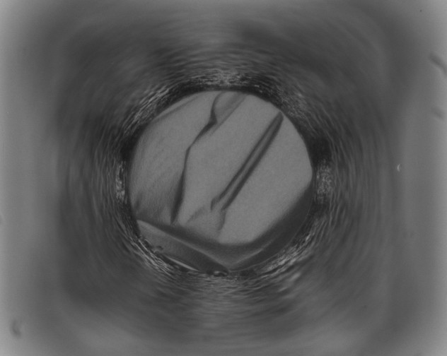 X0000097841202200804041435