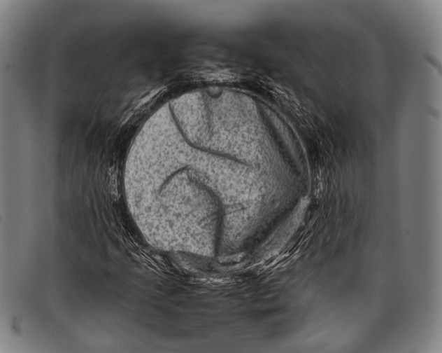 X0000097841205200804041435