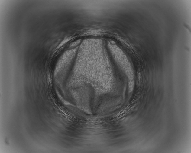 X0000097841206200804041435