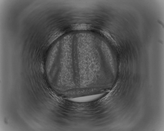 X0000097841209200804041436