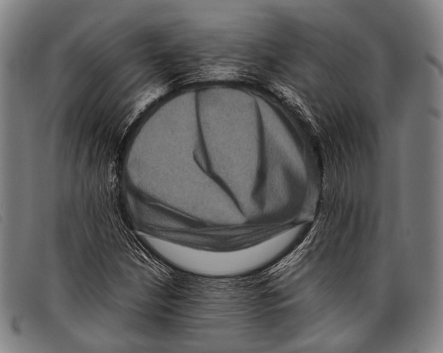 X0000097841210200804041436