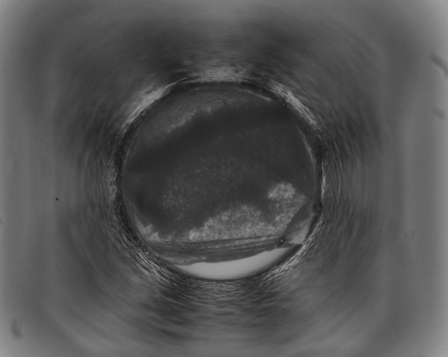 X0000097841213200804041436
