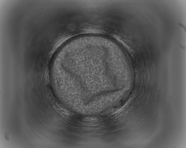 X0000097841215200804041436