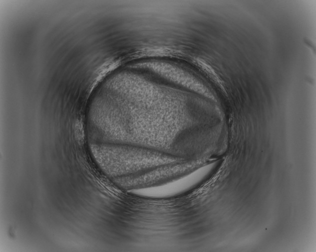 X0000097841218200804041436