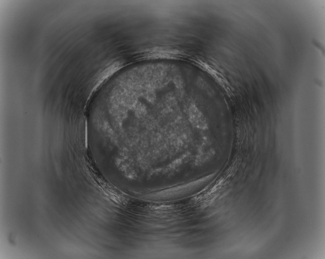 X0000097841219200804041436