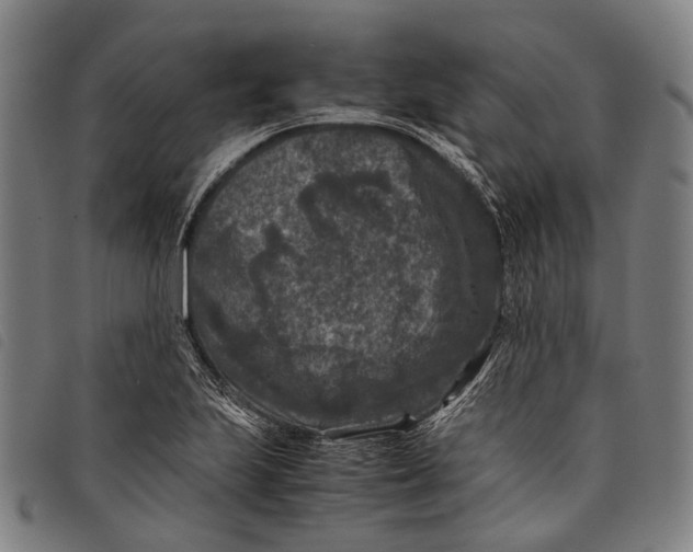 X0000097841223200804041436