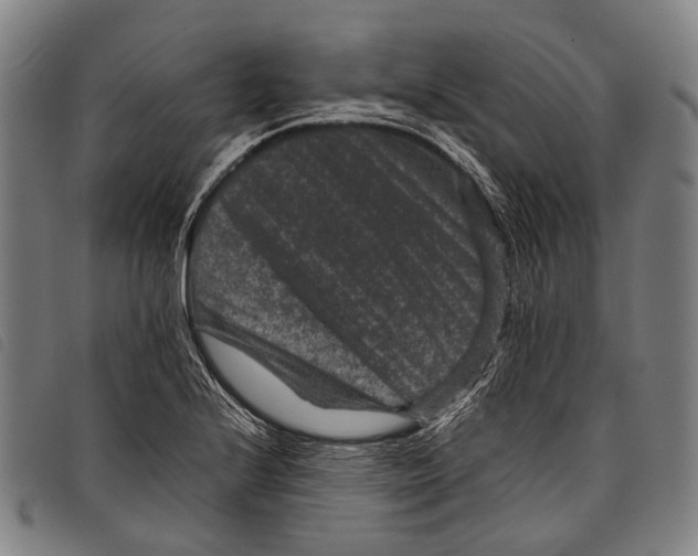 X0000097841224200804041436