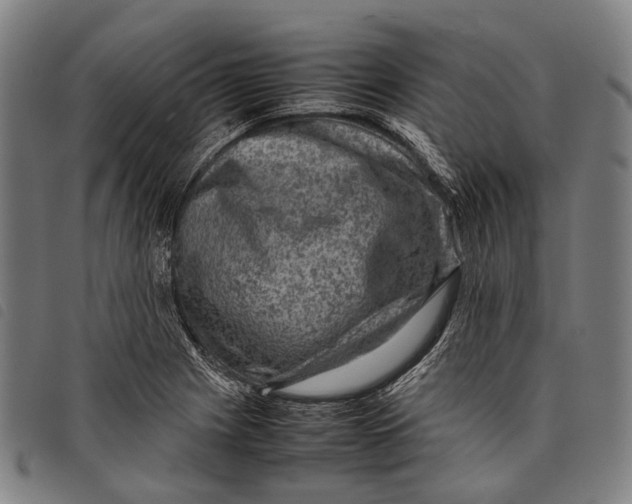 X0000097841225200804041436