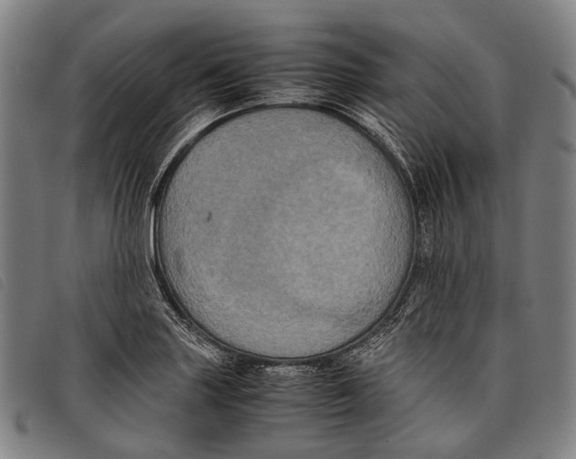 X0000097841227200804041436