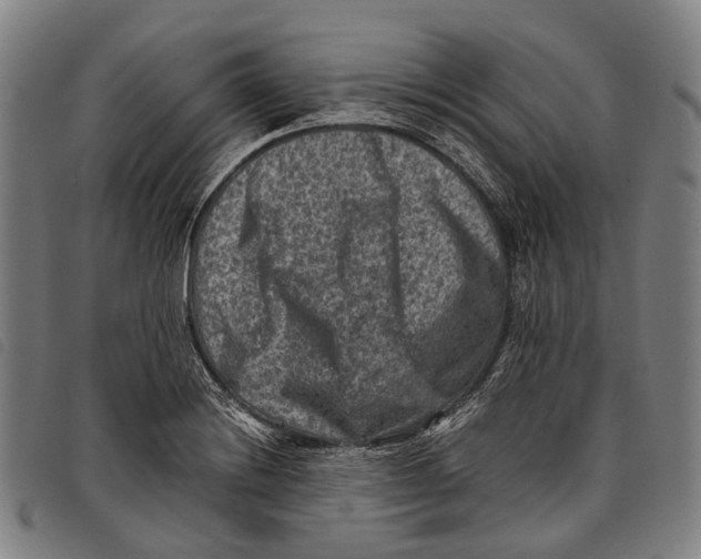 X0000097841228200804041436