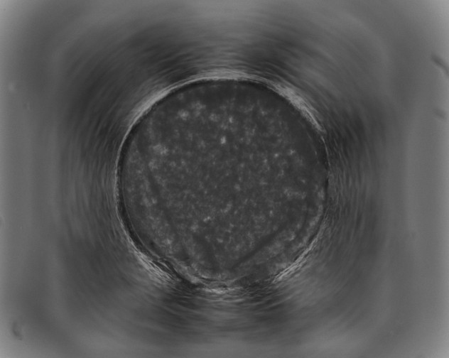 X0000097841229200804041436