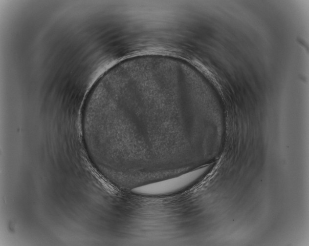X0000097841230200804041436