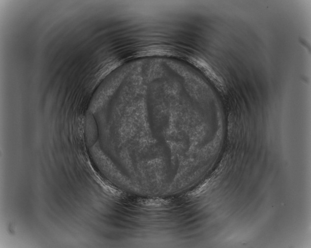X0000097841233200804041436