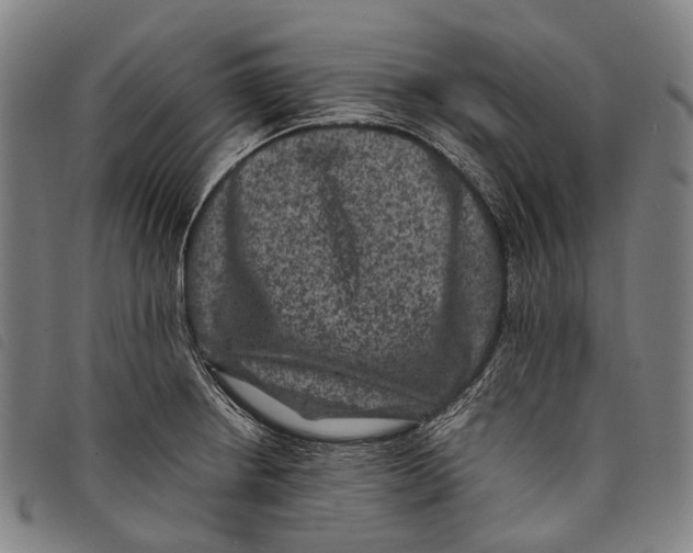 X0000097841234200804041436