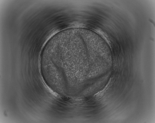 X0000097841235200804041436