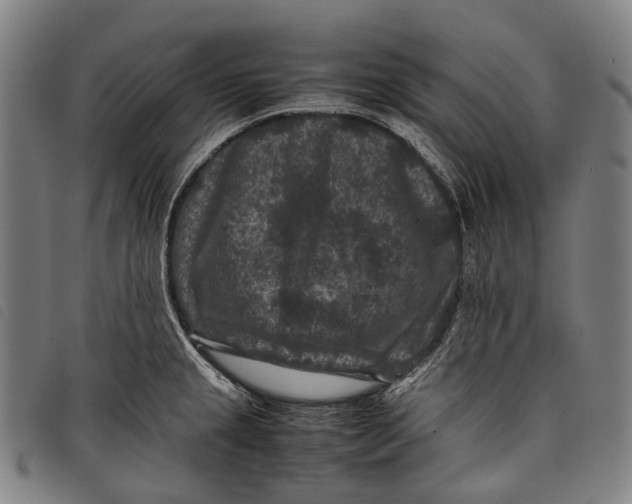 X0000097841237200804041436