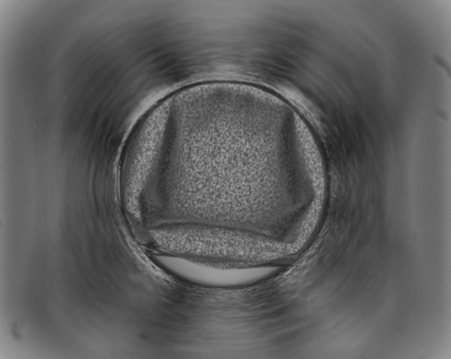 X0000097841238200804041436