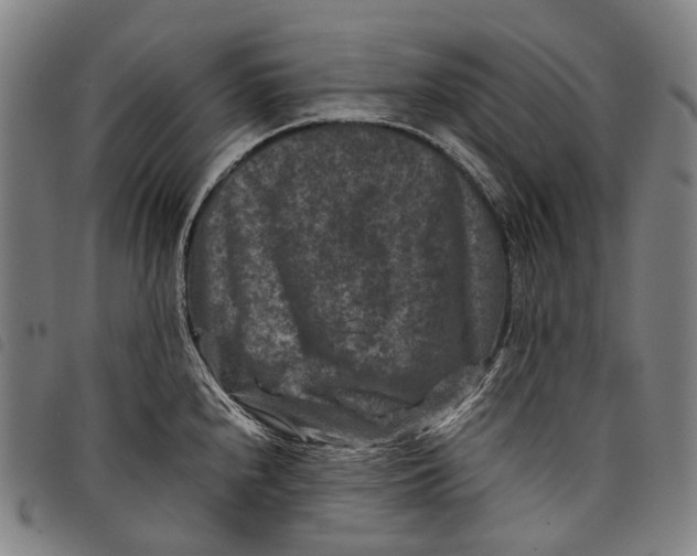 X0000097841240200804041436
