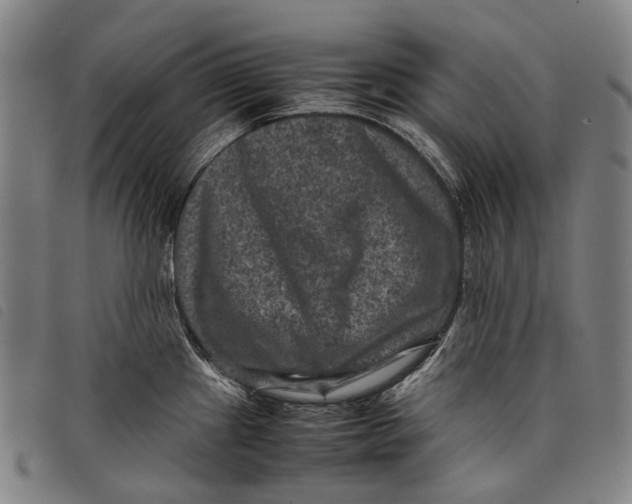 X0000097841241200804041436
