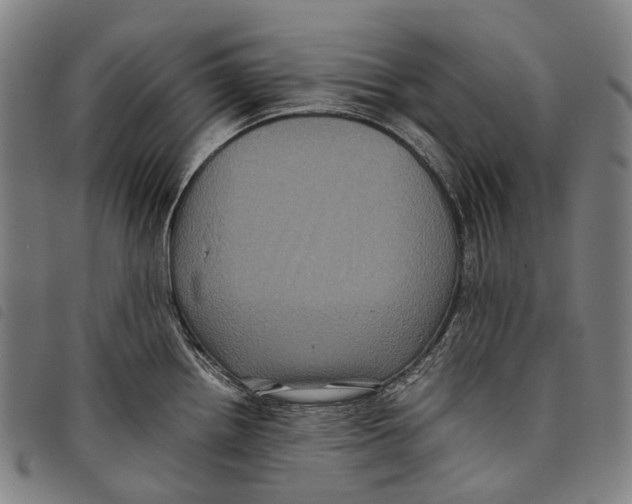 X0000097841242200804041436