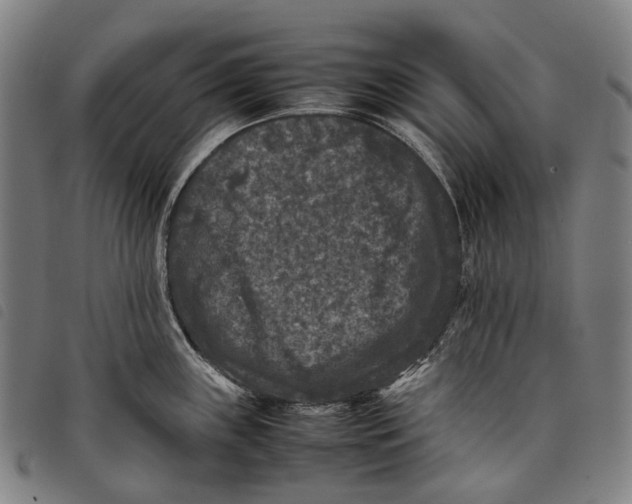 X0000097841243200804041436