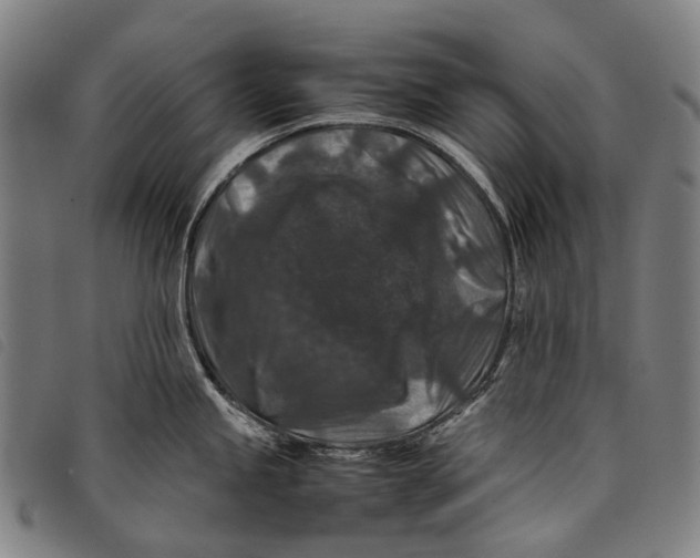 X0000097841245200804041436