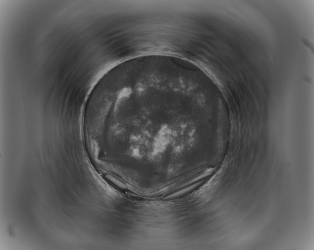 X0000097841246200804041436